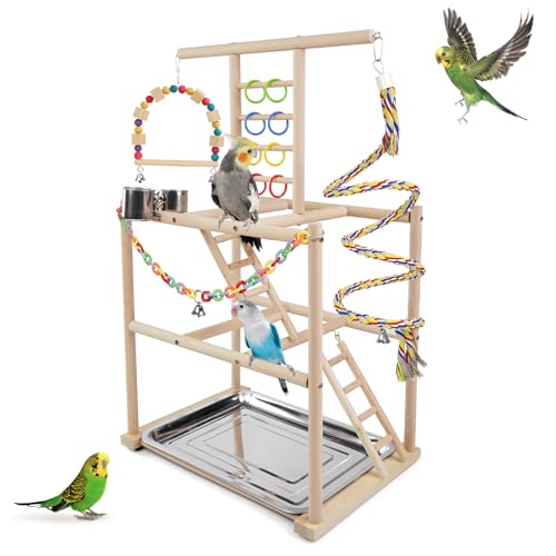 Bird Playground, Parrots Playstand for Small to Medium Birds, Perch Stand with 3 Ladders Playgym with Rope Per - view 2
