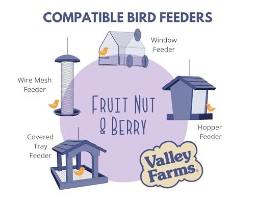 Valley Farms Fruit Nut & Berry (4 LB) Wild Bird Food Outside Feeders, Bird Seed with Dried Fruit, Peanuts, Sun - view 5