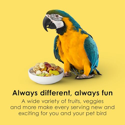 Kaytee Fiesta Macaw Food, Nutritious and Fun Blend, Supports Skin, Feather, Digestion, Brain and Heart Health, - view 4