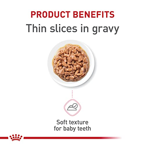 Royal Canin Feline Health Nutrition Kitten Thin Slices in Gravy Cat Food, 3 oz (Pack of 24) - view 3