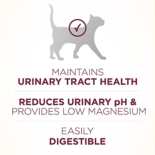 Purina ONE High Protein Dry Cat Food, +Plus Urinary Tract Health Formula - 16 lb. Bag - view 4