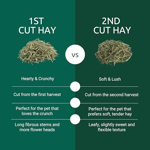 Kaytee First Cut Timothy Hay, High Fiber, Grown Specifically for Small Animals, Rabbits, Guinea Pigs, Chinchil - view 3