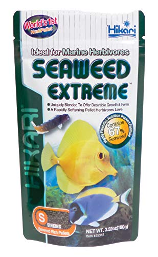 Hikari Usa Inc AHK25312 Seaweed extreme 3.52-Ounce - view 2
