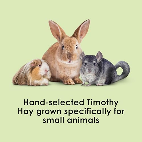 Kaytee Wafer Cut All Natural Timothy Hay for Pet Guinea Pigs, Rabbits & Other Small Animals, 60 Ounce - view 3