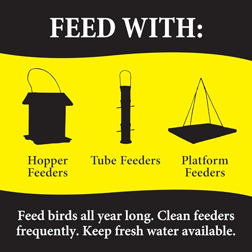 Wild Delight Advanced Formula Bugs N Berries Wild Bird Food 4.5 lbs - view 5