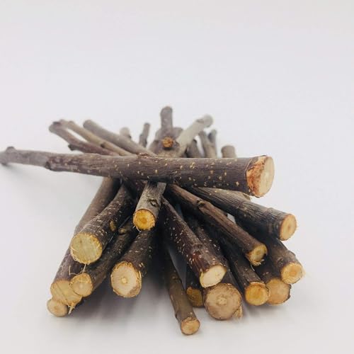 William Craft Apple Sticks Pet Chew Toy Treats for Chinchilla Guinea Pigs Rabbits Squirrel Hamster Bunny - view 3