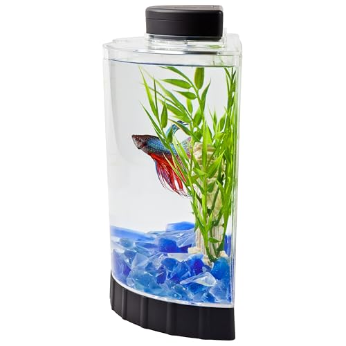 Tetra LED Half Moon Aquarium Kit, 1.1 Gallons, Small, Clear Plastic Fish Tank With Curved Front, Easy Feeding  - view 5