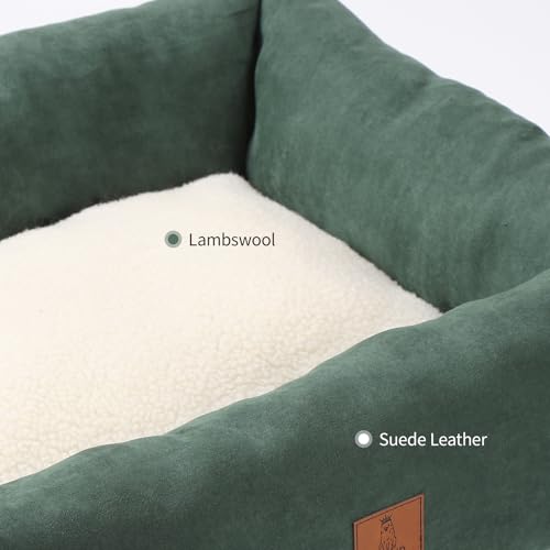20In Dog Bed for Small Dogs & Cats - Washable Rectangle Cat Kitten Bed for Indoor Pets, Cozy Cute Puppy Bed wi - view 6