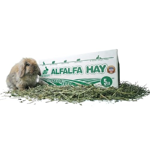 High Desert Alfalfa Hay, Protein Rich Soft Leaf Food for Young Growing Animals, Natural Rabbit Food and Guinea - view 2