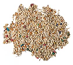 Premium Parakeet Food, 5 lb Jar - view 3