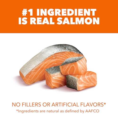 IAMS Proactive Health Adult Healthy Dry Cat Food with Real Salmon, 7 lb. Bag - view 3
