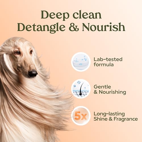 PAWFUME Deshedding Dog Shampoo and Conditioner, Show Dog, 1-Pack – Nourish & Detangle for Silky Soft Coat – Pr - view 6