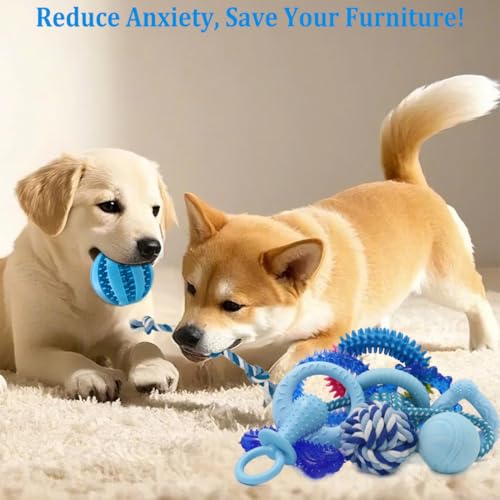 Beiker 20 Pack Puppy Chew Toys - Blue Dog Teething Toys for Puppies, Puppy Teething Rings and Ropes, Rubber To - view 5
