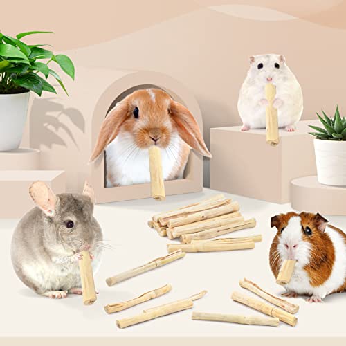 Bissap 700g/1.5Ib Sweet Bamboo Chew Sticks for Rabbits, Bunny Chewing Sticks for Rabbits Hamster Chinchilla Gu - view 6