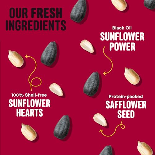 Cardinal & Crew Wild Bird Seed – 10 lb. Black Oil Sunflower, Sunflower Hearts & Safflower Blend for Cardinals, - view 5