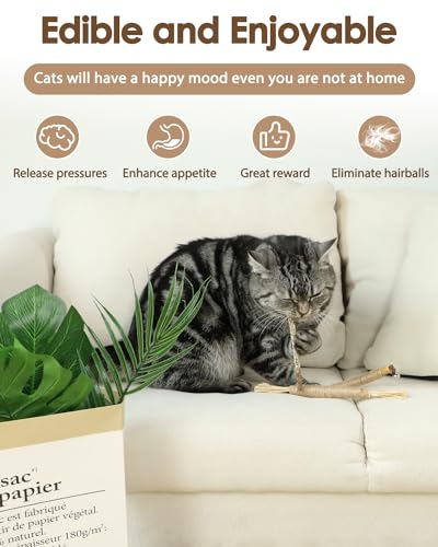 Tocirelo Silvervine Sticks Cat Toys - 6Pack Natural Cat Chew Toy Teeth Cleaning, Matatabi Dental Care Kitten T - view 4