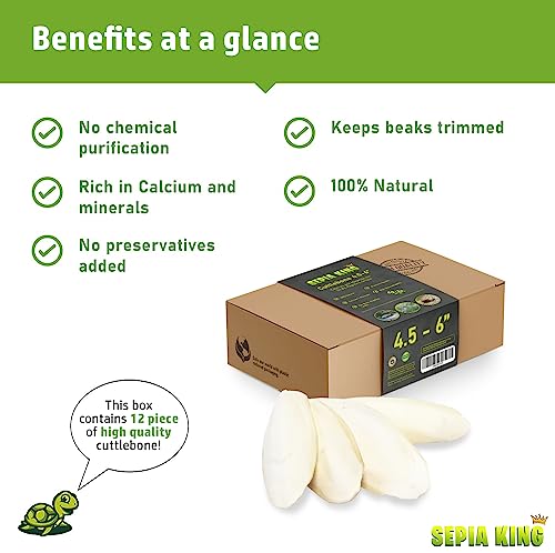Medium - 100% Natural Calcium Supplement - Premium Cuttlebone Perfect for Birds, Tortoises, Snails, Reptiles - - view 5
