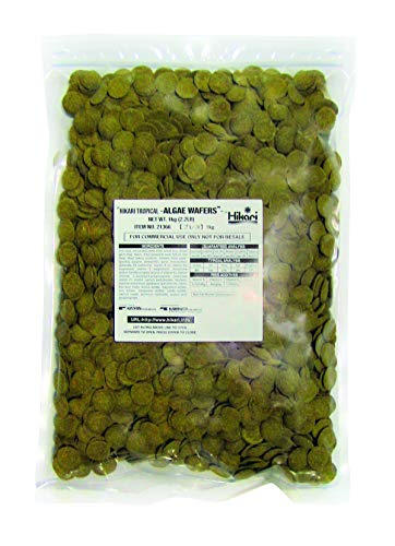 Hikari Algae Wafers for Pets, 2.2-Pound - view 2