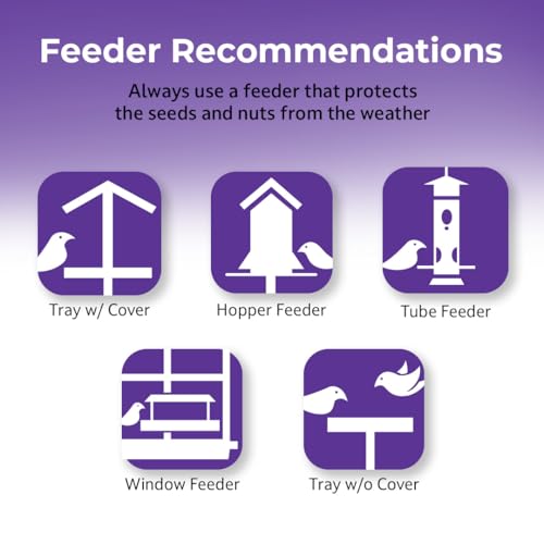 Lyric Wild Bird Mix - Includes Corn, Nuts, and Wild Bird Seed for Outside Feeders, Attracts Doves, Jays and Ma - view 7