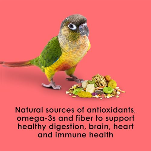 Kaytee Fiesta Conure Food, Nutritious and Fun Blend, Supports Skin, Feather, Digestion, Brain and Heart Health - view 7