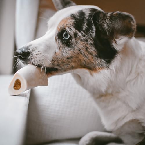 Cadet Stuffed Shin Bone, Long-Lasting Dog Chew Bones for Aggressive Chewers, High Protein Filled Bone Dental C - view 4