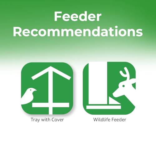 Lyric Wildlife Critter Food for Deer, Squirrels, Turkeys & Rabbits, Wild Bird Seed for Outside Feeders, 10 lb  - view 7
