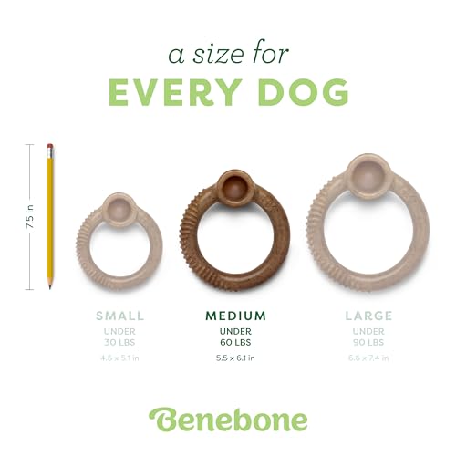 Benebone Ring Durable Dog Chew Toy for Aggressive Chewers, Real Bacon, Made in USA, Medium - view 5