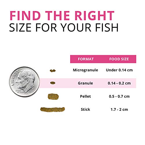 Fluval Bug Bites Color Enhancing Fish Food for Tropical Fish, Granules for Medium to Large Sized Fish, 4.4 oz. - view 4