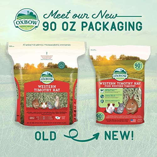 Oxbow Western Timothy Hay, Guinea Pig Hay, Small Pet Bunny Supplies, All Natural Grass for Guinea Pig, Bunny,  - view 4