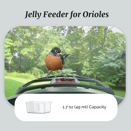Complete Bird Feeder Accessory Kit DIY Add-Ons Including Mini Hummingbird Feeder, 2 Fruit Holders, Jelly Feede - view 5