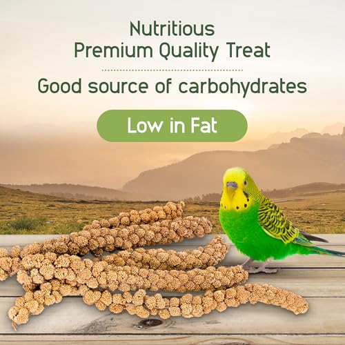 Living World – Millet Spray for Birds, 17.6 Oz – Premium Treat for Budgies, Canaries, Finches, Cockatiels and  - view 5