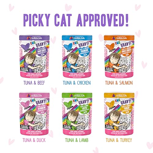 Weruva B.F.F. OMG - Best Feline Friend Oh My Gravy!, Rainbow A Gogo Variety Pack! Cat Food, 3oz Pouch (Pack of - view 6