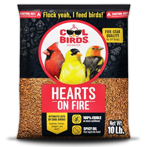 Hearts on Fire Hot Bird Seed – 10 lb. 100% Hulled Sunflower Hearts with Chili Pepper Oil – No Waste Bird Seed  - view 2