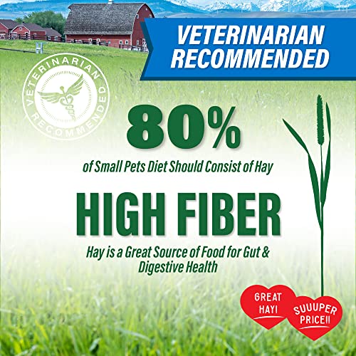 Small Pet Select Value Choice Timothy Hay for Rabbit, Guinea Pig, Bunny, Chinchilla and Other Small Animals, P - view 3