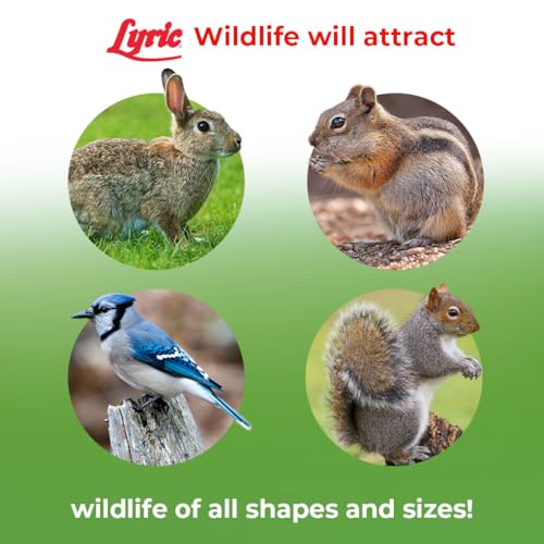 Lyric Wildlife Critter Food for Deer, Squirrels, Turkeys & Rabbits, Wild Bird Seed for Outside Feeders, 10 lb  - view 6