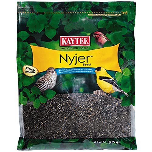 Kaytee Nyjer Wild Bird Food Seed, 5 Pound - view 2