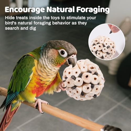 40 Pcs Bird Parrot Toys, Natural Bird Foraging Toy for Cockatiels, Lovebirds, Budgies, Small to Medium Parrot - view 7