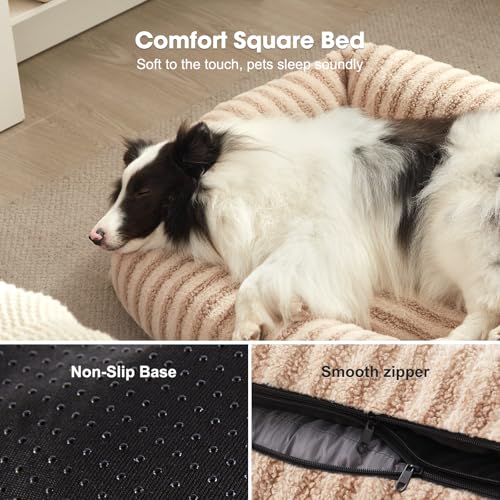 MIXJOY Dog Beds for Small Dogs Cats, Washable Dog Bed with Removable Cover, Soft Calming Cat Bed for Indoor Ca - view 6