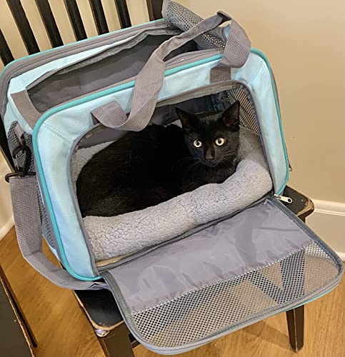 Enjoying Cat Mat Bed 10" x 15" Pet Bed with Pillow Around for Puppy Kitten Curled Sleeping Beds for Carrier/Cr - view 7