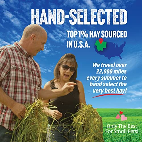 Small Pet Select 2nd Cutting Perfect Blend Timothy Hay Pet Food for Rabbits, Guinea Pigs, Chinchillas and Othe - view 3