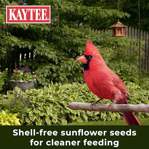 Kaytee Wild Bird (No Mess or Waste Free) Food Seed Blend For Blue Jays, Woodpeckers, Juncos, Cardinals, Grosbe - view 6