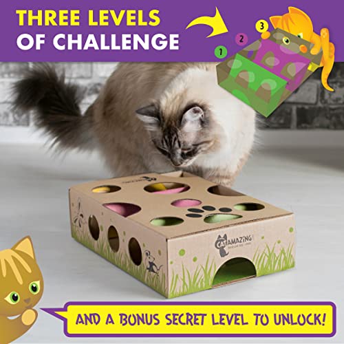 Cat Amazing Interactive Treat Maze and Puzzle CAT Toy - view 4