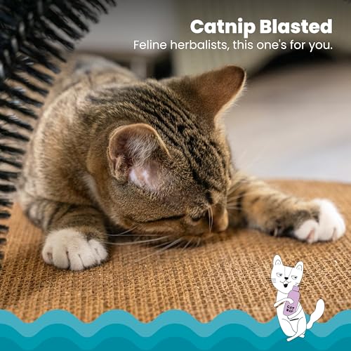 Catstages Scratch & Groom Cat Scratcher with Removable Curved Brush for Self-Grooming Station, Orange - view 4