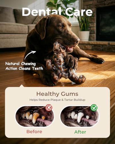 2 Pack Indestructible Dog Chew Toys for Aggressive Chewers: Ultra-Dense Nylon, Bacon Flavor Chew Bones, Heavy  - view 6