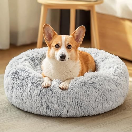 JOLLYVOGUE Dog Bed, Calming Anti-Anxiety Large Dog Bed, Fluffy Donut Cushion for Medium and Large Pets (27"/30 - view 2