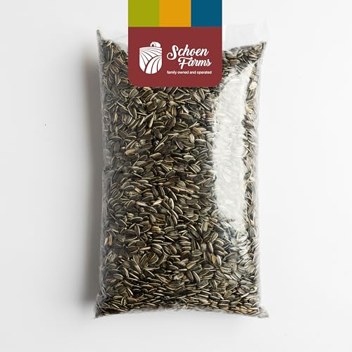 Schoen Farms Striped Sunflower Seeds – Hulled Wild Bird Food – 3 lb Bag – Clean, No-Mess Bird Seed for Finches - view 3