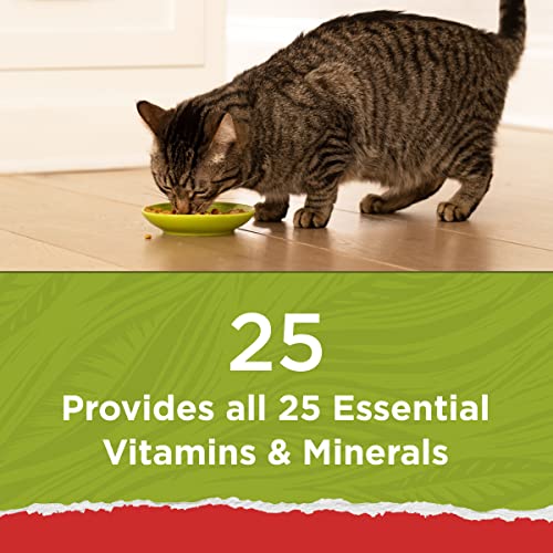 Purina Cat Chow Naturals With Added Vitamins, Minerals and Nutrients Dry Cat Food, Naturals Original - 13 lb.  - view 4