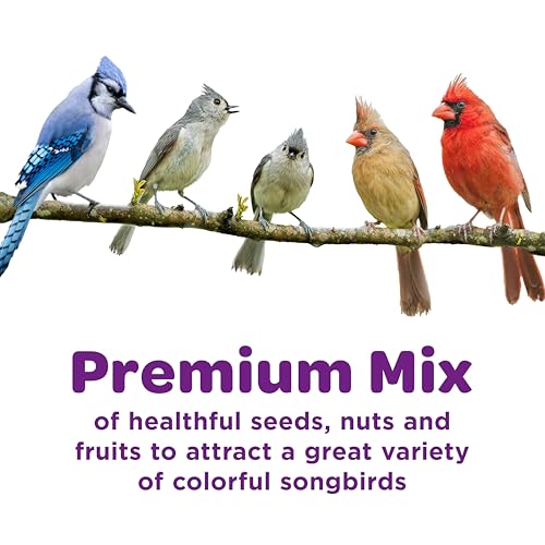 Kaytee Nut & Fruit Wild Bird Seed, 5 lb - view 4
