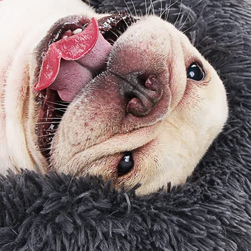 Small Calming Dogs Bed for Small Dogs Anti-Anxiety Machine Washable Fluffy Luxury Anti-Slip Waterproof Mute Ba - view 7