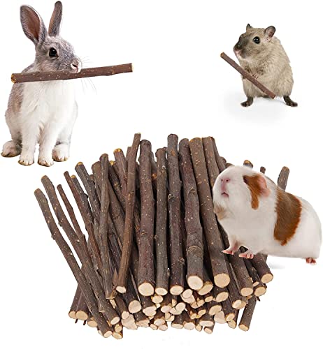 700g Apple Sticks Molar Wood Treats, Rabbit Toys Chinchilla Guinea Pig Bunny Toys Wood Chews Sticks for Teeth  - view 2